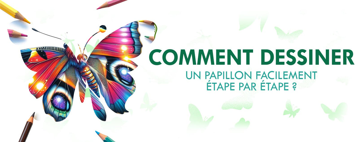 Comment Dessiner un Papillon Facilement Étape par Étape