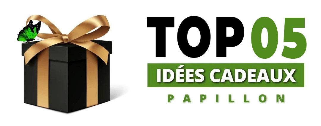 idee-cadeau-papillon