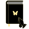 Livre-papillon