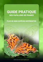 Livre Offert - Guide Pratique des Papillons de France - Vignette | Esprit Papillon