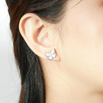 Boucles d'Oreilles Papillon Blanches - Vignette | Esprit Papillon