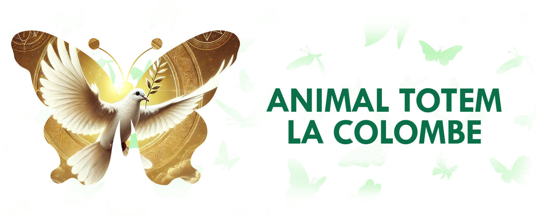 animal-totem-la-colombe