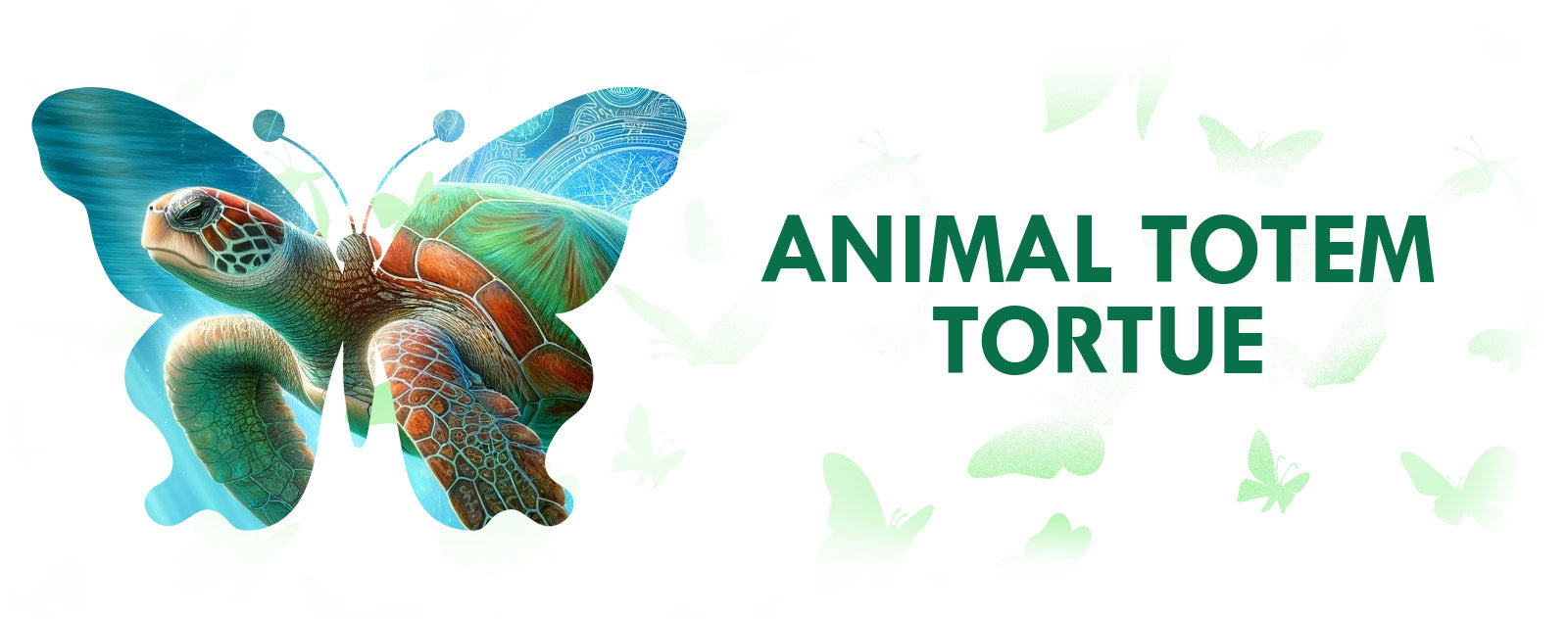 animal-totem-tortue