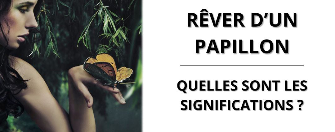 Rêver de papillon