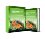 Livre - Guide Pratique des Papillons de France - Vignette | Esprit Papillon