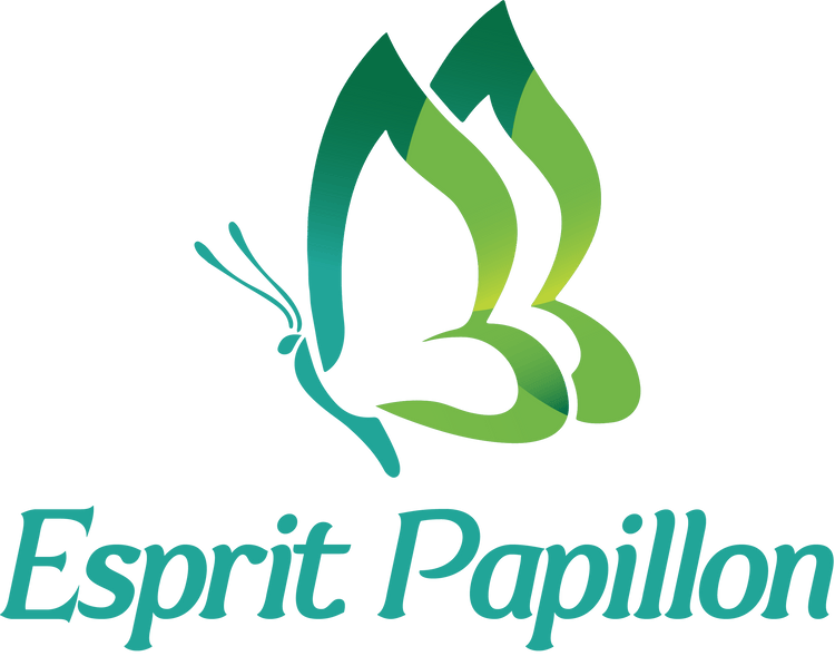 PAPILLON DE NUIT Signification : Sa Symbolique