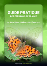 Livre - Guide Pratique des Papillons de France - Vignette | Esprit Papillon